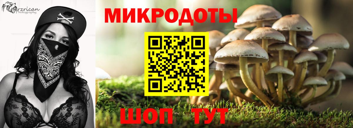Галлюциногенные грибы прущие грибы Нефтекамск